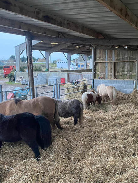 JOALLAND EQUITATION Centre Equestre La Plaine Sur Mer Presta3