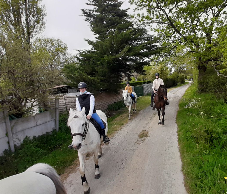 Nos conseils pour monter à cheval à la plage