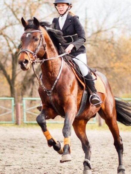 JOALLAND EQUITATION Centre Equestre La Plaine Sur Mer Presta5
