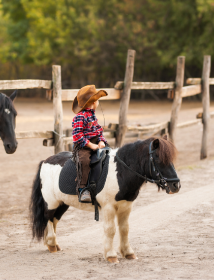 JOALLAND EQUITATION Centre Equestre La Plaine Sur Mer Presta3