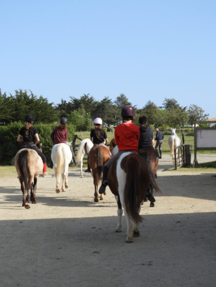 JOALLAND EQUITATION Centre Equestre La Plaine Sur Mer Presta3