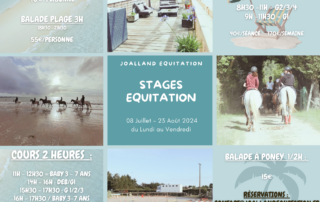 Joalland Equitation Centre Equestre La Plaine Sur Mer Planning Ete 2024