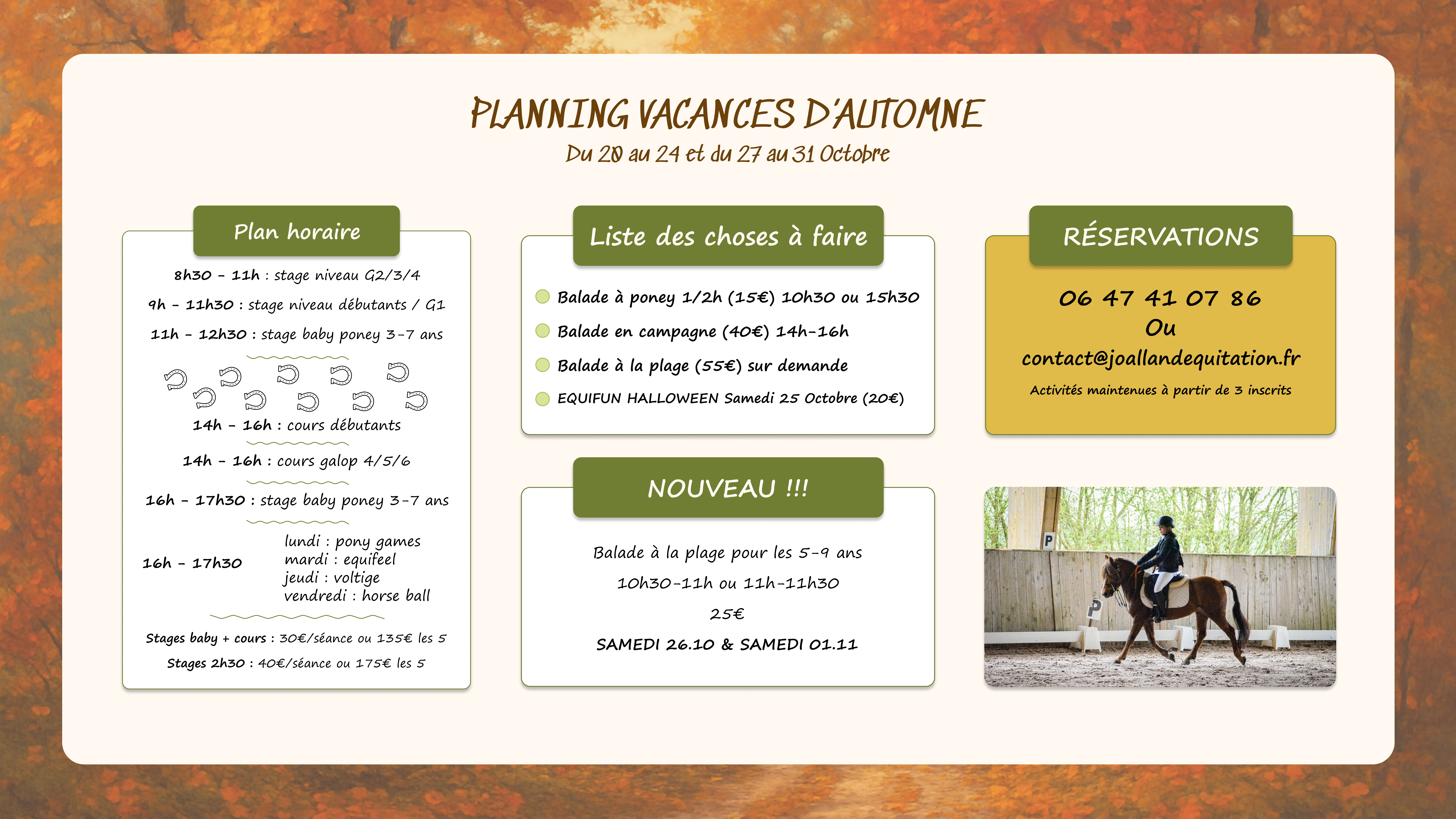 Joalland Equitation Centre Equestre La Plaine Sur Mer Frame 3876